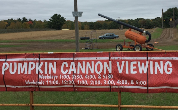 Pumpkin Cannon