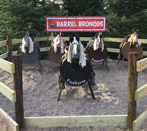 Pinehaven's Barrel Broncos