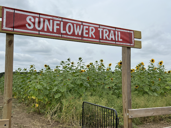 Flower Festival Trail